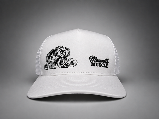 White "Two Logo" Hat